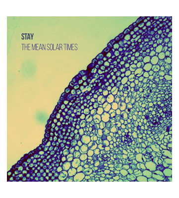 Stay - The Mean Solar Times